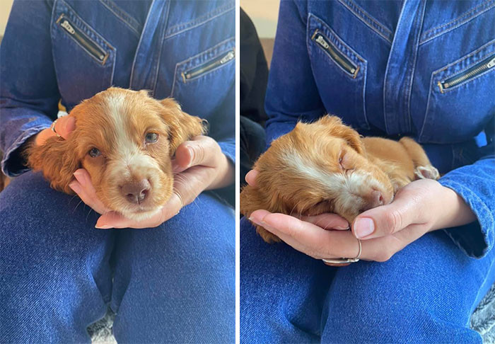 25. "Spotted little Winnie falling asleep in her mum's hands!"