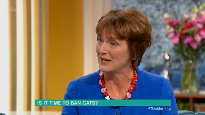 News headline about Sally Jones sparks outrage among global cat lovers