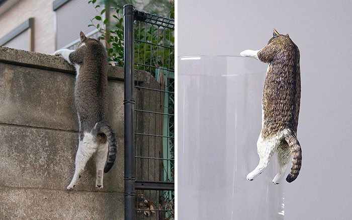 14. Parkour Cat