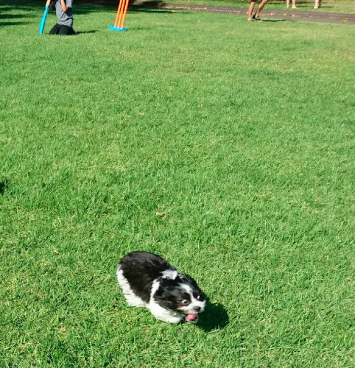 Can't talk now; my people need me.