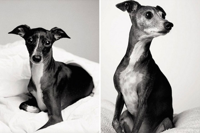 11. Audrey, 3 years and 12 years.
