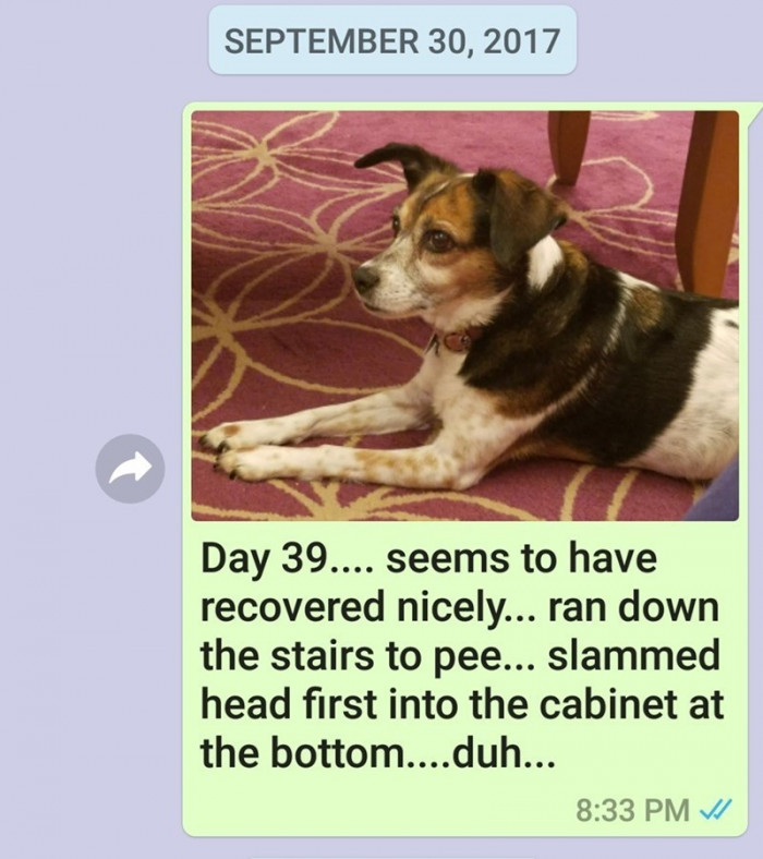 Day 39.