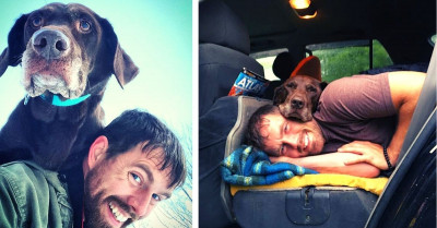 Devoted Dog Dad Took His Beloved Pup On The Adventure Of A Lifetime When She Was Diagnosed With Cancer