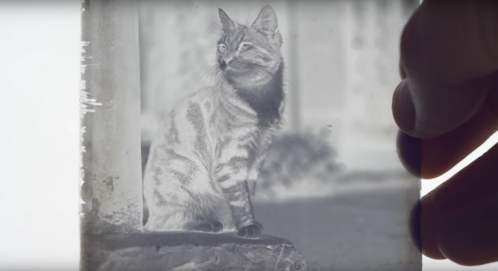 He chose to do that using one of the oldest photography print methods in the world – cyanotype