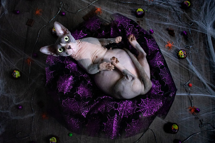 Oh, sorry, did we fail to mention the maternity sessions, too? Equally precious, seriously.