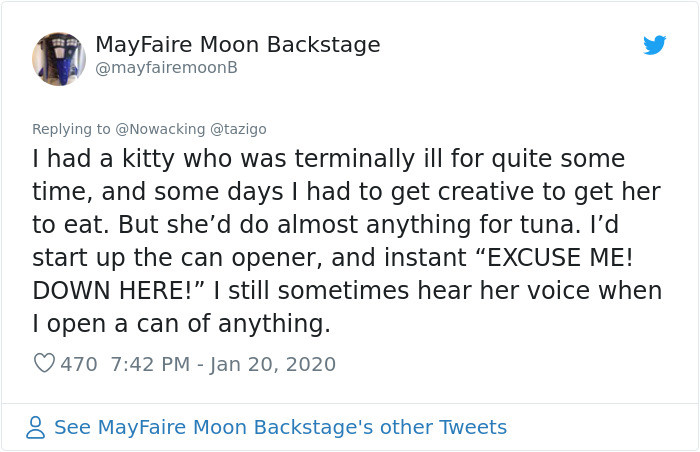 Tuna heals.