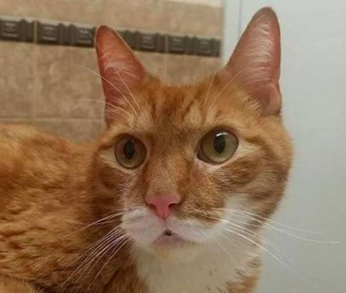 The frightened-looking Tim.