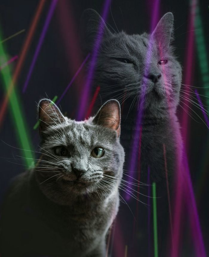 Naturally, the Internet responded with the sort of enthusiasm we've come to know and expect.