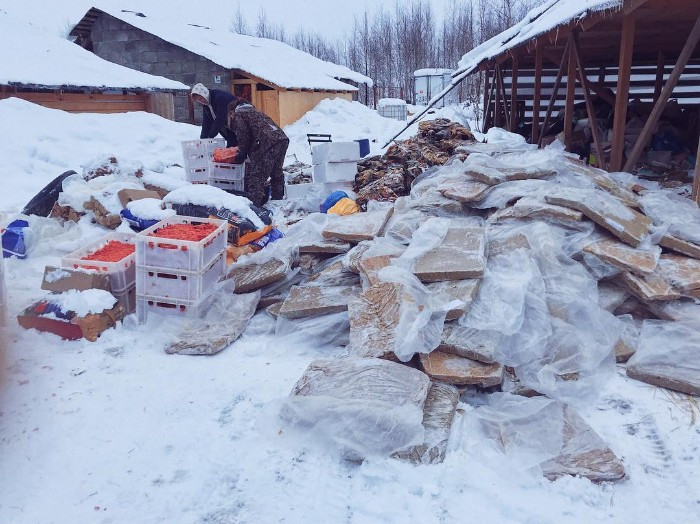 Thank you to Daria and her husband for providing the animals with a loving home.