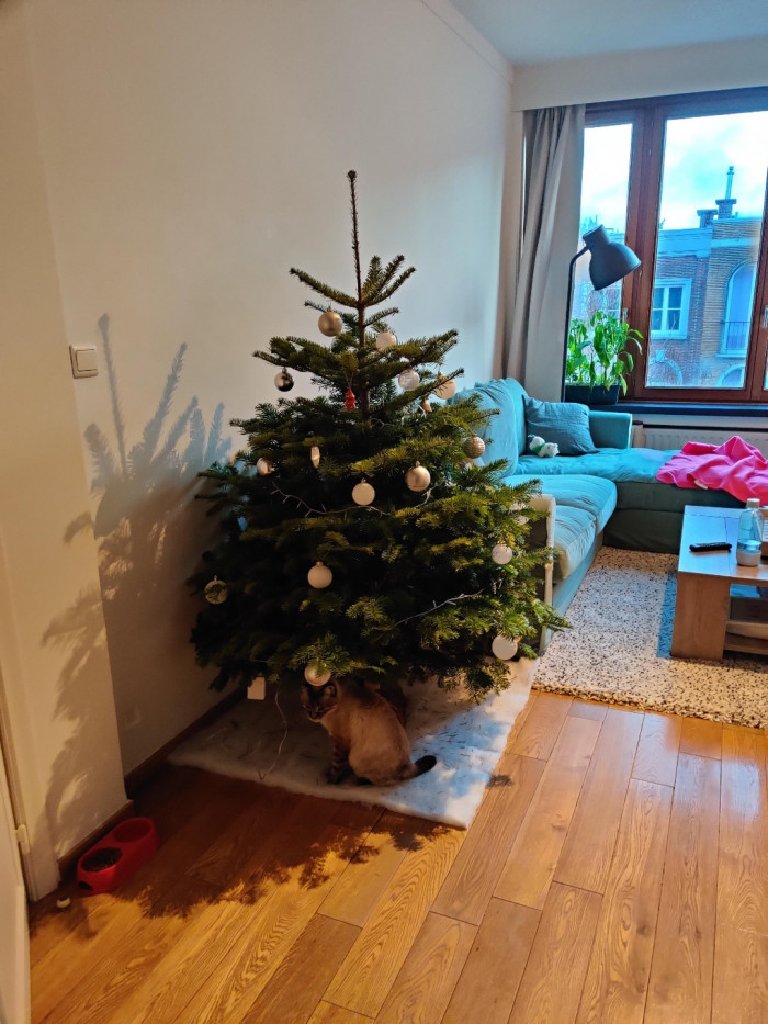 5. "She keeps eating the tree. She has no shame."