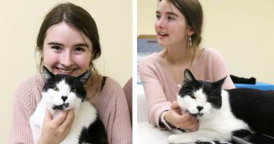 15-Year-Old Girl Volunteered at a Shelter and Was Reunited with Her Lost Childhood Cat