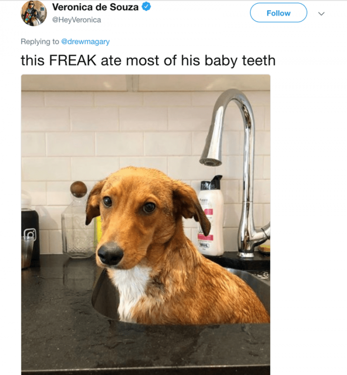 12. ... I'm sure there's a story behind this. I'm just not sure if I really want to hear it.