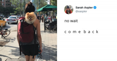 These Animal Tweets Need To Go Viral For The Positive Messages They Spread