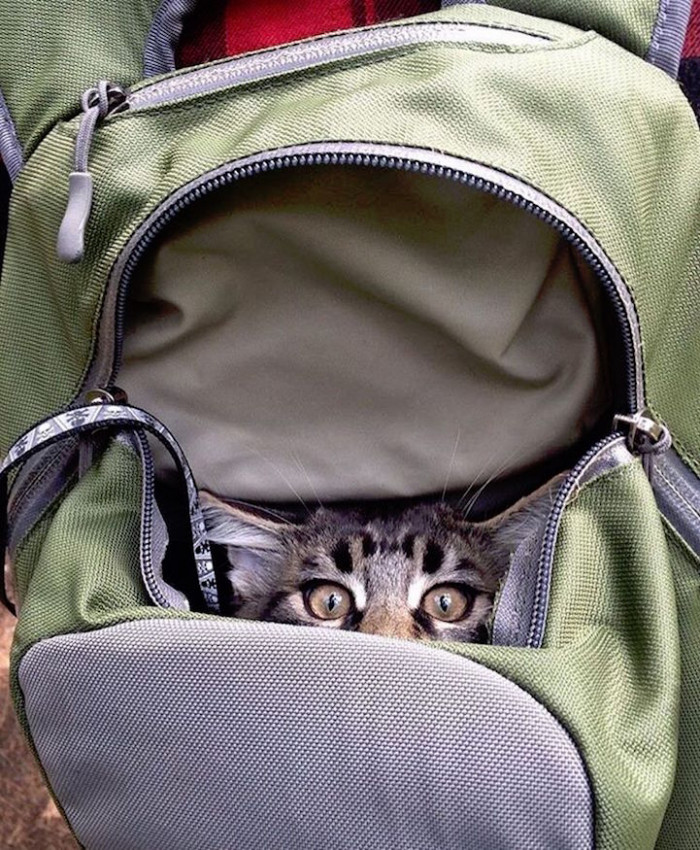 12. Ever seen a backpack with eyes?