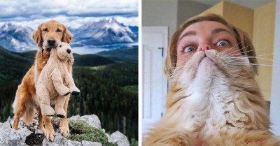 People Are Sharing Pictures Of Cute Animals, So You Can Get A Full Dose Of Their Charm, And Here Are 23 Of Them