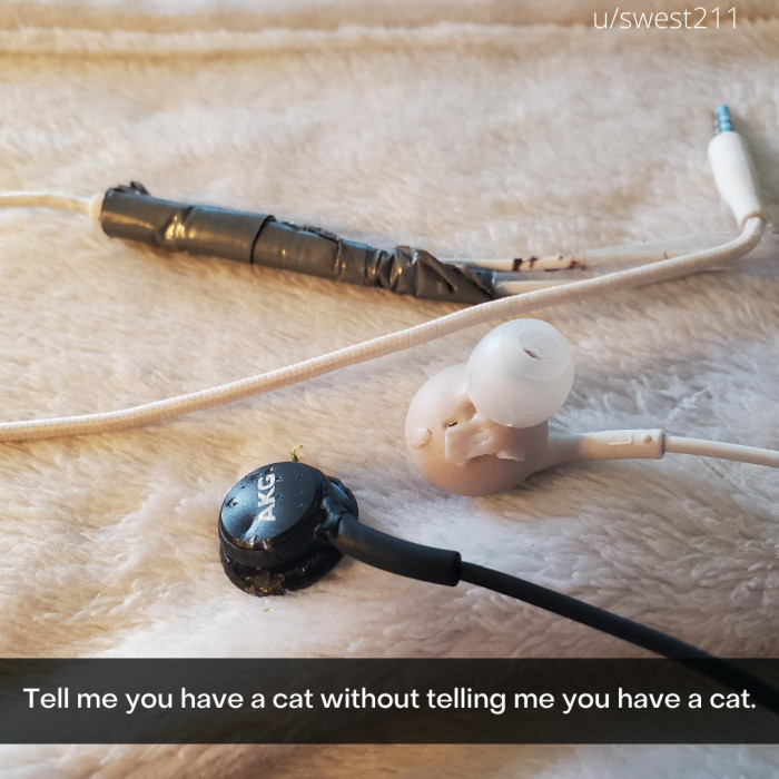 27. CAT CAT CAT CAT CAT.