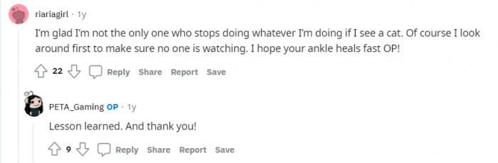 Maybe don't talk to a cat without checking around you first.