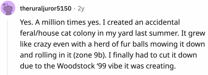 A catnip garden is equivalent to Woodstock