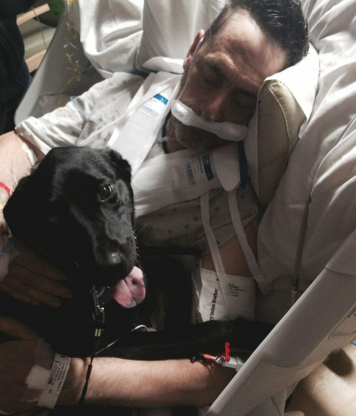 18. This cutie surprised his owner on his birthday by sneaking into the hospital to meet him.