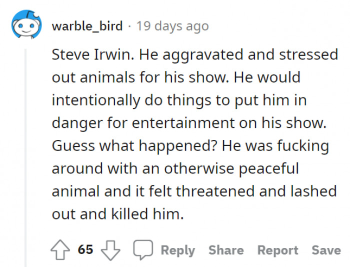 Steve Irwin. Did he deserve his death?