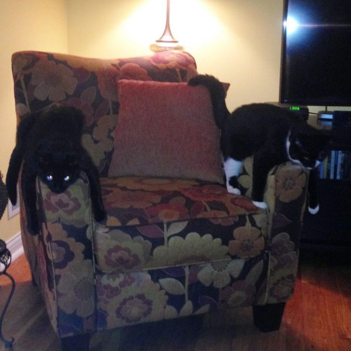 10. We've claimed this armchair, but you can sit in the middle.