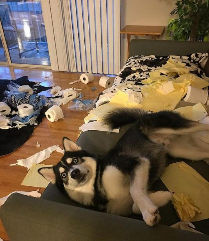 9. Oh, thank goodness you're back. The house is a mess.