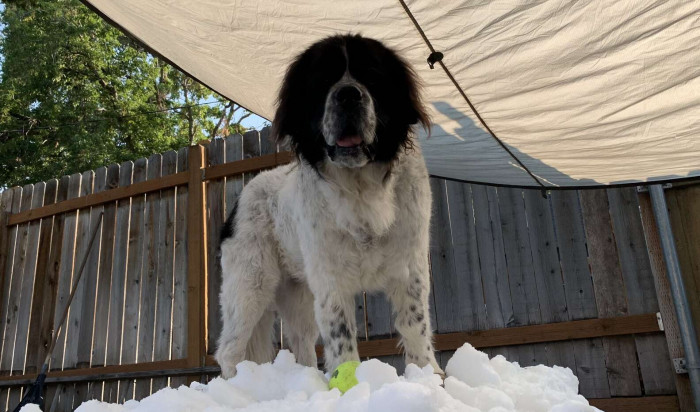 For one last time, she climbed the mountain.