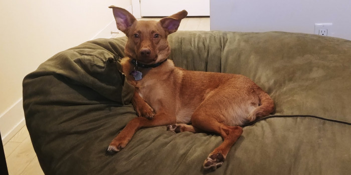 Trying to look like everything's chill