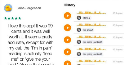 Cat Meows May Or May Not Be Translated With This New App Based On The Hilarious Reviews