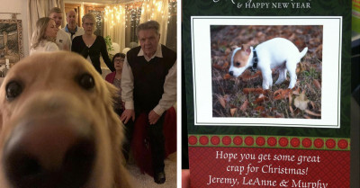 39 Christmas Photos That Were Hilariously Ruined When They Were Photobombed By Dogs