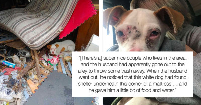 Dog Gave The Sweetest Hug To The Woman Rescuing Him