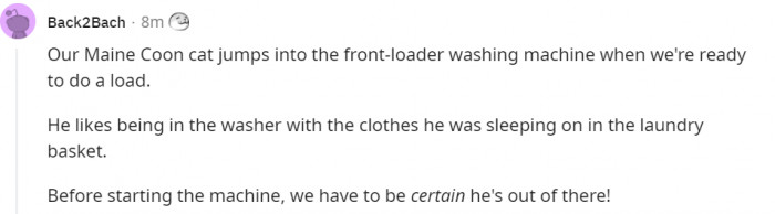 9. Always make sure your cat is not in the washing machine!