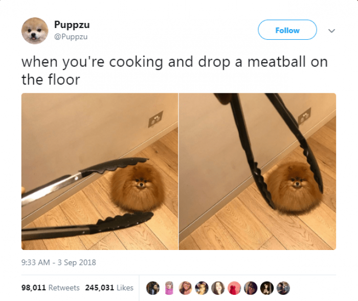 Fluffy Meatball