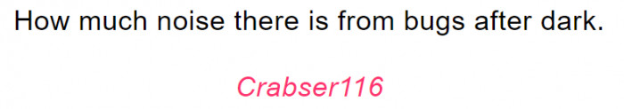 6. Gosh, the noise these bugs make can get unbearable sometimes.
