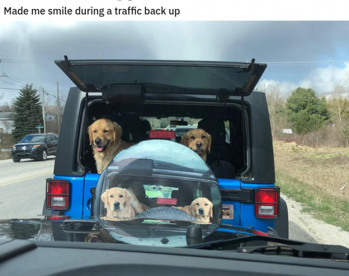 7. This is giving me a heckin' smile, too.