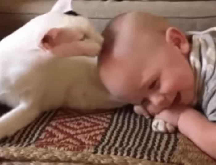 The parent was first worried about how the cat would react at the sight of the baby. 
