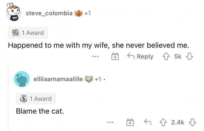 Here's how the Reddit community reacted to u/chicha1994's story: