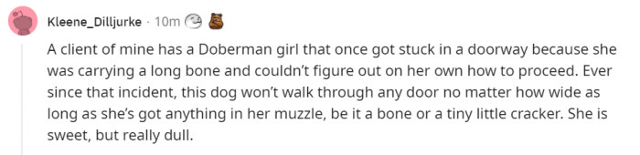 2. Never walk through a doorway with something in your mouth - the oldest rule in the book.
