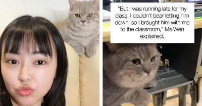 Clingy Cat Wouldn't Let His Owner Go to Class, So She Just Brought Him With Her