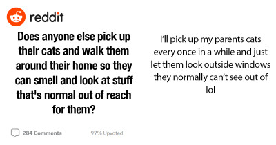 Reddit User Asks If People Pick Up Their Cats And Show Them Out Of Reach Things