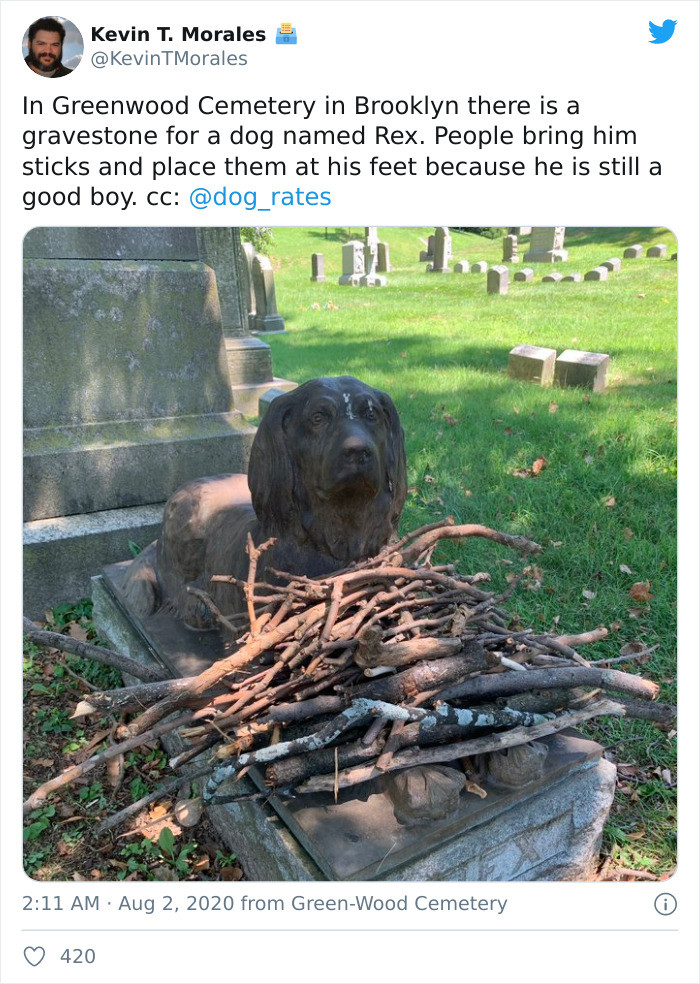 People visiting this cemetery have been dropping twigs on this dog’s grave to honor him