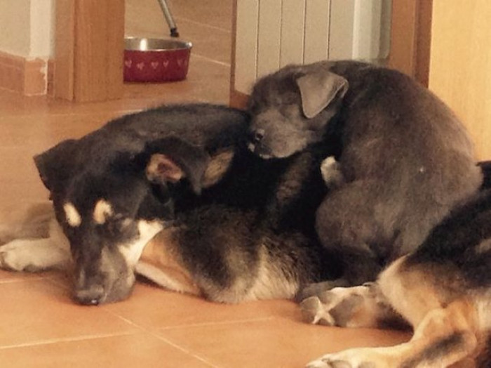 Hitting the Snooze Button.