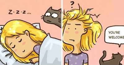 Relatable Cat Comics Are Absolutely Hilarious