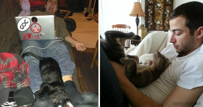 10+ Boyfriends Who Swore They Didn't Want Cats... Until They Got One
