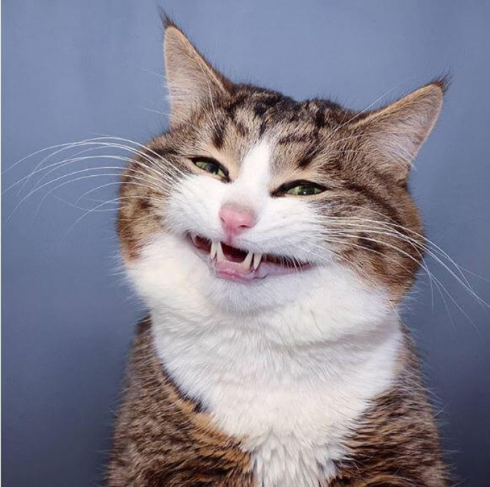 10. Say cheese!
