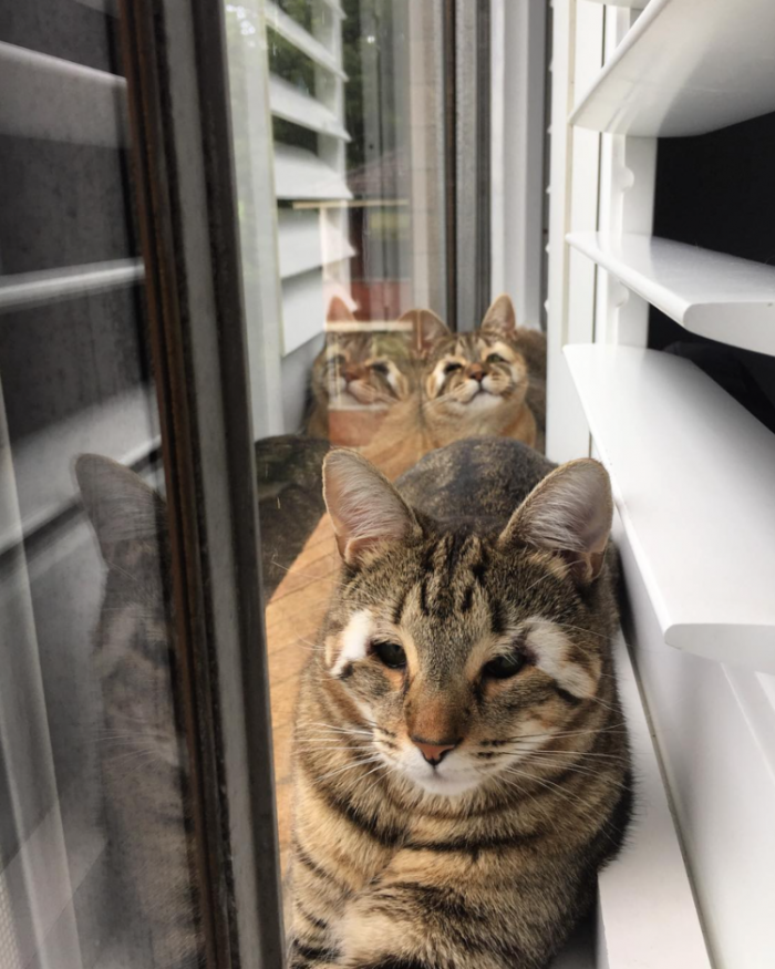 In an interview, they said: