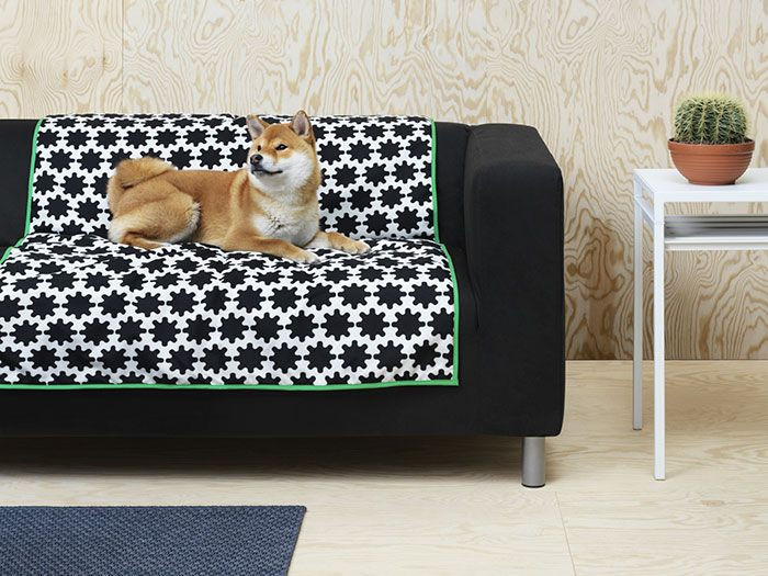  A sofa slipcover is now available for dogs to relax on too