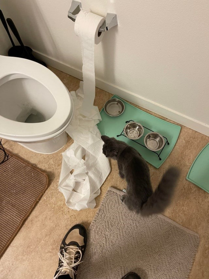 15. For some of them, everything is a toy to play with.