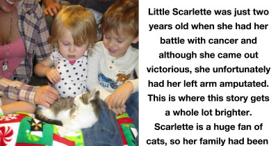 Three-Legged Cat Adopted By Three-Limbed Little Girl