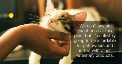 Science Gives Us A Vaccine For Those Of Us Who Suffer From Cat Allergies